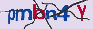 Codice captcha