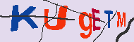 Codice captcha