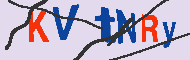 Codice captcha