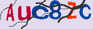 Codice captcha